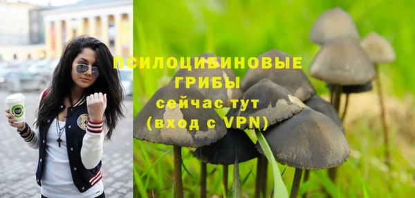 спайс Балахна