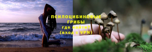 спайс Балахна