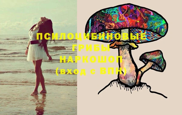 тгк Баксан