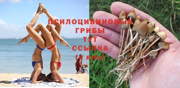спайс Балахна