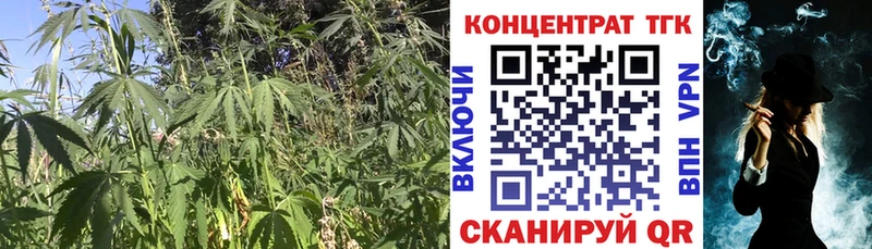 ТГК концентрат купить закладку Мурманск