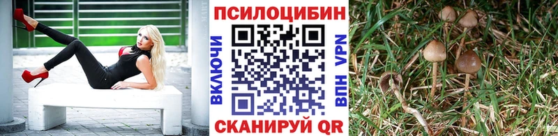 Галлюциногенные грибы Cubensis цены наркотик Мурманск